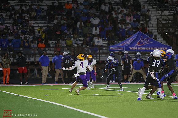 CHS2024-6548