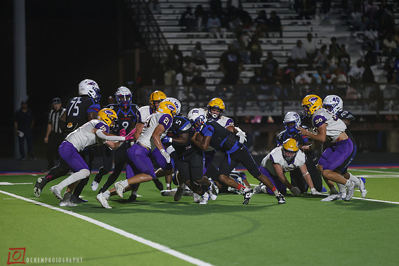CHS2024-6522