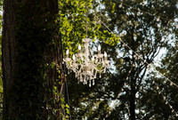 Graywedding-2445