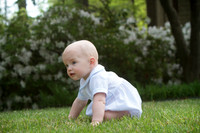 Daugherty-0415