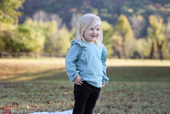 Friesen2024-2032