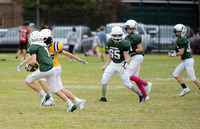 ECS2024-2-12