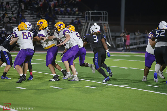 CHS2024-6953
