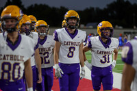 CHS2024-6295