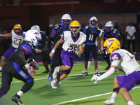 CHS2024-6318